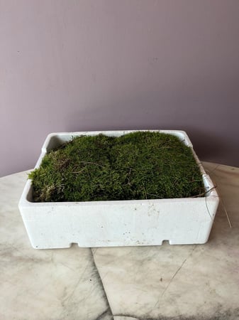 فلات موس Flat Moss Green