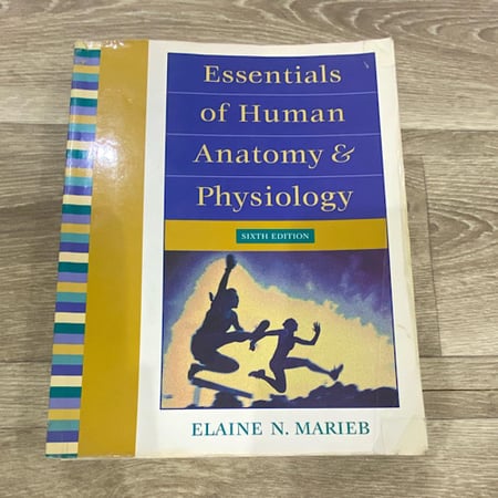 Essentials of Human Anatomy & Physiology