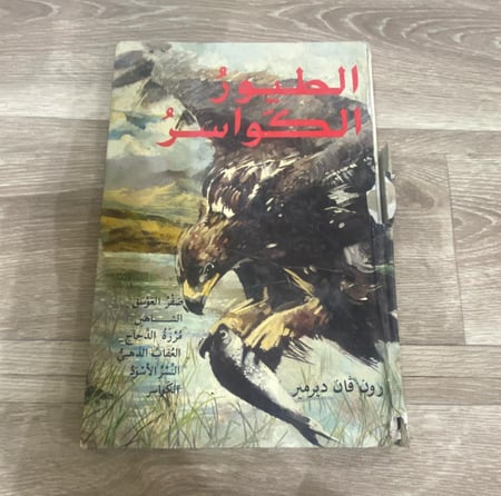 ‏الطيور الكواسر