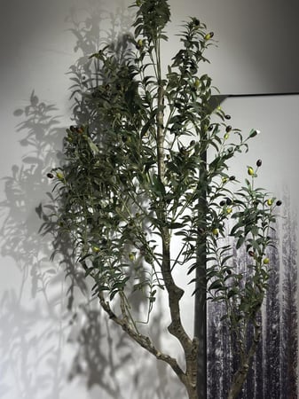 شجرة الزيتون الصناعية  ارتفاع 220 سم