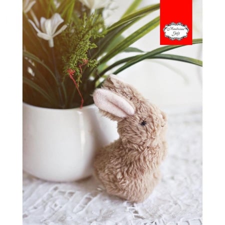 ارنب قطني | Cotton rabbit