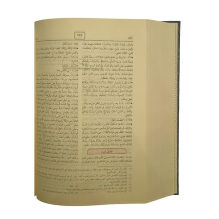 القاموس المحيط