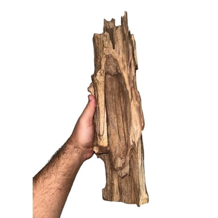 اخشاب طبيعية كود 350027