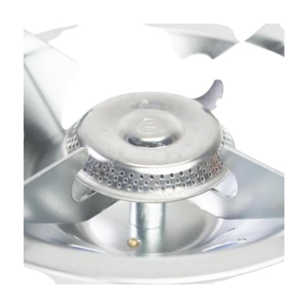 راس دافور ايطالي كبير عين عريض