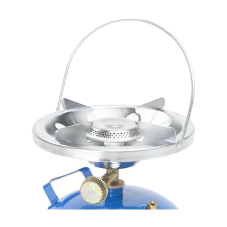 راس دافور ايطالي كبير عين عريض