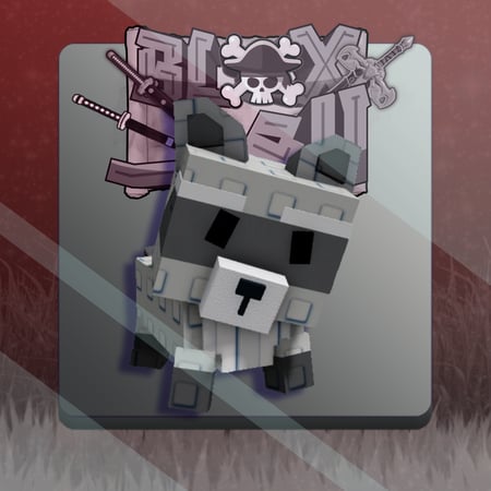 الراكون | Racoon