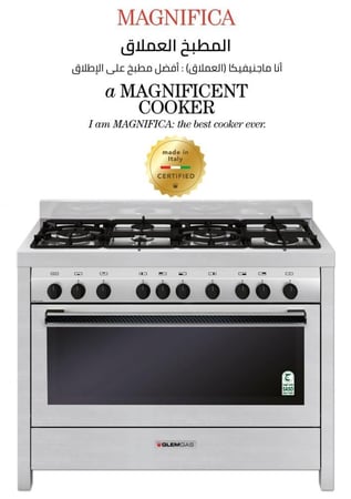 "مطبخ جليم غاز 60*120 (6) شعلات غاز ، أمان تام ، متعدد الوظائف - أستيل"