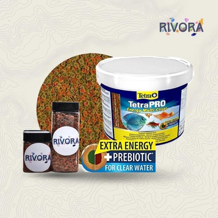 Tetrapro energy-تترا طاقه