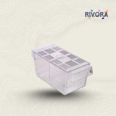 صندوق تفريخ الأسماك - Fish Breeding Box