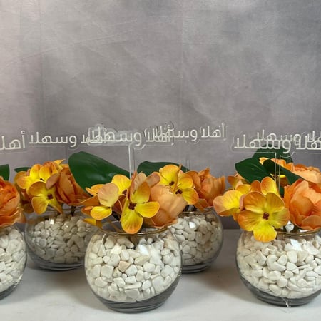 فازات ميني