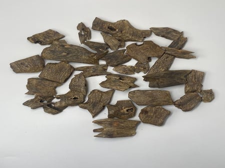 عود كينام صيني