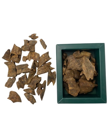 عود كينام صيني