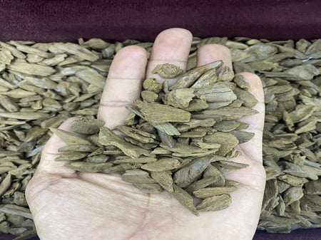 عود مروكي دقة دبل سوبر وسوبر مرتفع