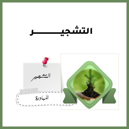 ملف مبادرة التشجير في مدرستي