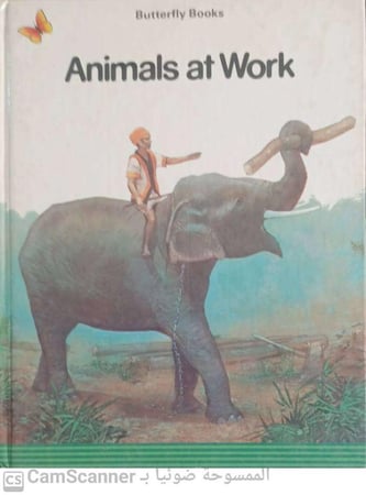 Animals at work Butterfly books
