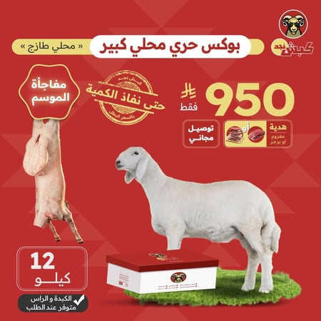 بوكس حري محلي كبير