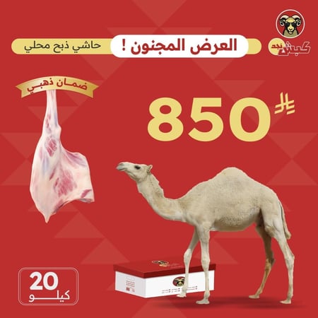20 كيلو حاشي محلي