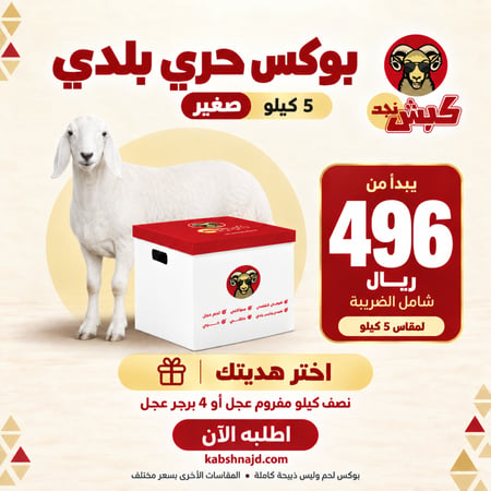 بوكس حري بلدي (صغير)