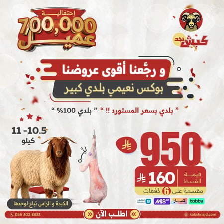 بوكس نعيمي بلدي كبير