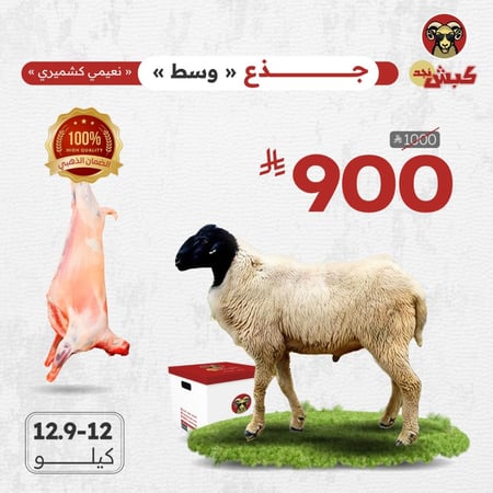نعيمي كشميري جذع (وسط)