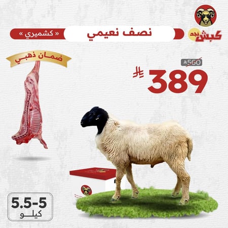 نص نعيمي كشميري جذع