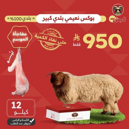 بوكس نعيمي بلدي كبير