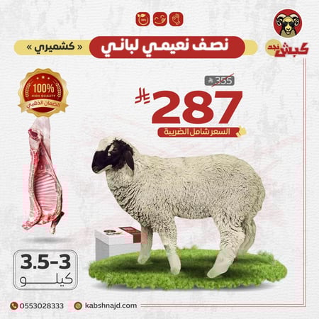 نصف نعيمي كشميري لباني
