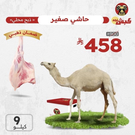 حاشي كبش نجد (9 كيلو محلي)