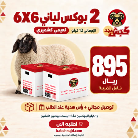 2 بوكس لباني 6X6