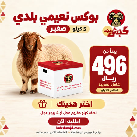 بوكس نعيمي بلدي (صغير)