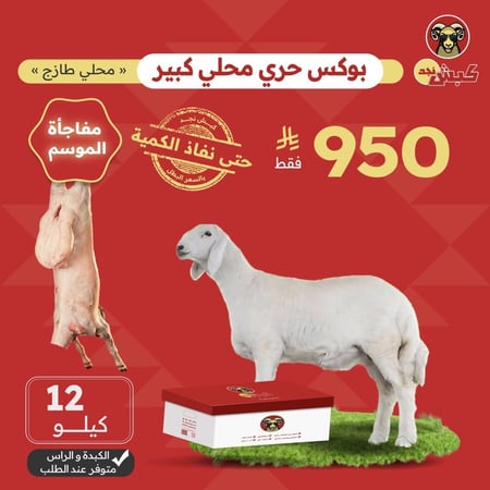 بوكس حري محلي كبير