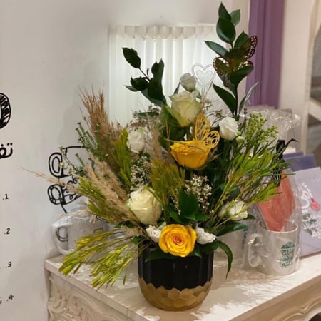 فازة ريو القولد