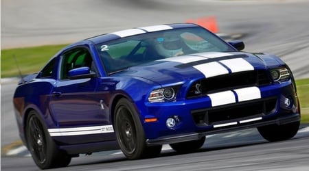 كبوت الامنيوم شلبي 13-14