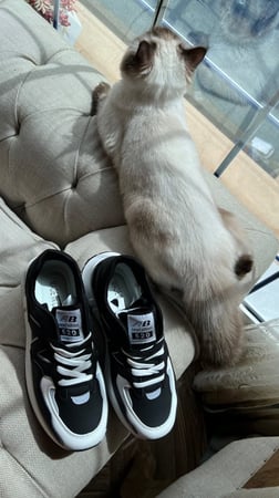 حذاء رياضي اسود عملي ومريح جداً جداً جداً رقم 19