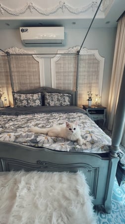 طقم سرير مشجر ابيض ورصاصي 6 قطع ( مفرش بمطاط رصاصي + لحاف بطانية جهه مشجر وجهه رصاصي ساده + 2 مخدات ساده ومشجر )