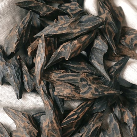 عود كمبودي تايقر فيتنامي