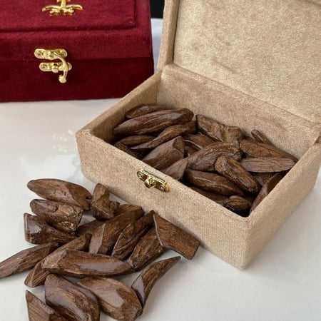 عود مروكي المجالس طبيعي محسن