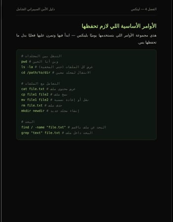 امن السيبراني من الصفر