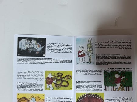 كتيب سن توب حقائق العالم ( فل ملصقات )