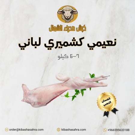 نعيمي كشميري لباني