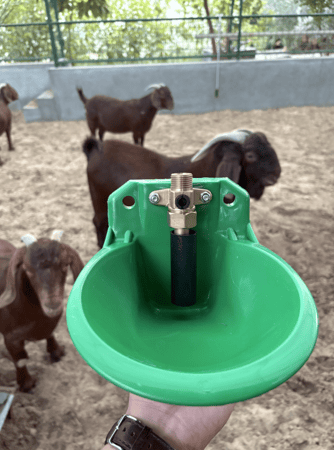 مشارب آغنام