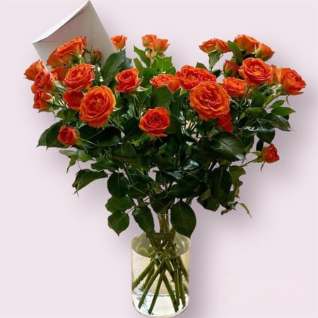 فازه الاورنج