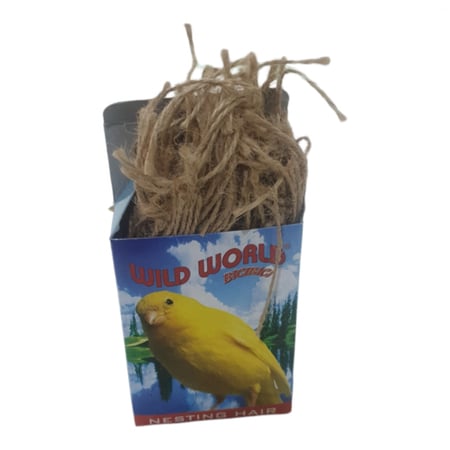 خيوط تعشيش كناري