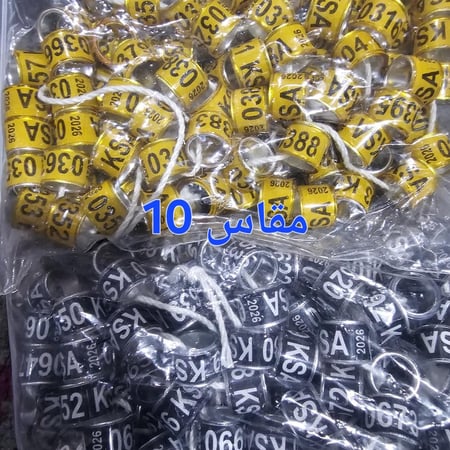 حجول حمام 2026 مقاس10