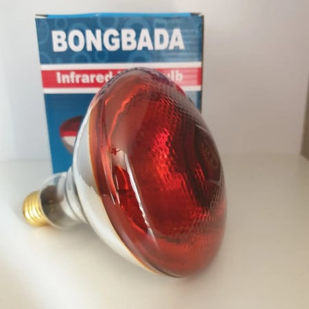 لمبة حرارية للتدفأة