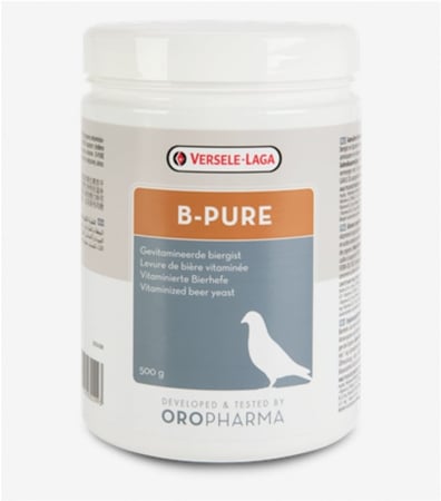 خميرة البيرة