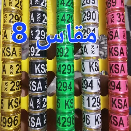 حجول 2026 مقاس 8