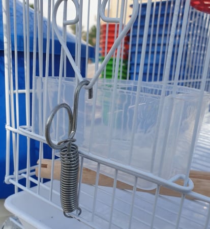 قفل ابواب الاقفاص