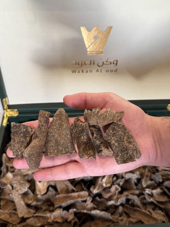 زوايا فتنامي دبل سوبر