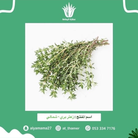 زعتر بري شمالي - 20 جرام